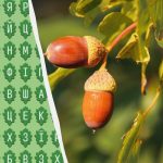 Μόνο το 1% των ανθρώπων μπορεί να βρει τη λέξη