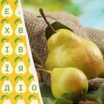 Μόνο το 2% των ανθρώπων μπορεί να βρει τη λέξη