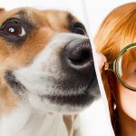 Μόνο ένας πραγματικός τιτάνας του IQ θα δει ένα σκύλο