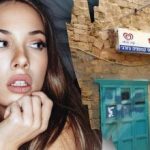 Μόνο μια ιδιοφυΐα θα μπορούσε να βρει ένα σκύλο στο δρόμο σε 7 δευτερόλεπτα: μια πολύπλοκη οπτική ψευδαίσθηση Μόνο μια ιδιοφυΐα θα μπορούσε να βρει ένα σκύλο στο