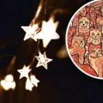 Οπτική ψευδαίσθηση για άτομα με αετίσια όραση: πρέπει να βρείτε