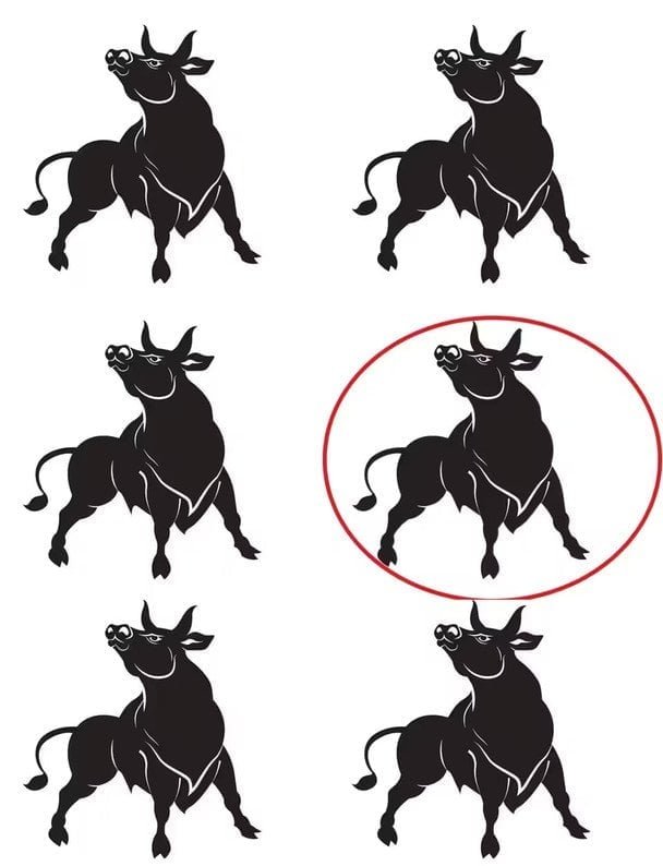 Ενδιαφέρον παζλ προσοχής - η επίλυσή του