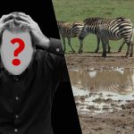 Γρήγορο τεστ IQ: βρείτε έναν σκύλο σε ένα χωράφι σε 6 δευτερόλεπτα Γρήγορο τεστ IQ: βρείτε έναν σκύλο σε ένα χωράφι σε