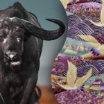 Πρέπει να βρείτε τον ταύρο στην εικόνα σε 15 δευτερόλεπτα: