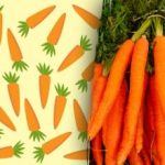 Μόνο άνθρωποι με "αετίσια όραση" θα βρουν το "παράξενο" καρότο: ένα μυστήριο που θα σας βάλει σε αμηχανία Μόνο άνθρωποι με “αετίσια όραση” θα βρουν το “παράξενο” καρότο: