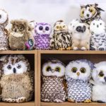 Πού είναι η πραγματική κουκουβάγια: μόνο άνθρωποι με “όραση κυνηγού”