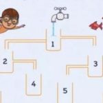 Ποια κανάτα θα γεμίσει πρώτα με νερό: ένα παζλ ενσυνειδητότητας Ποια κανάτα θα γεμίσει πρώτα με νερό: ένα παζλ ενσυνειδητότητας