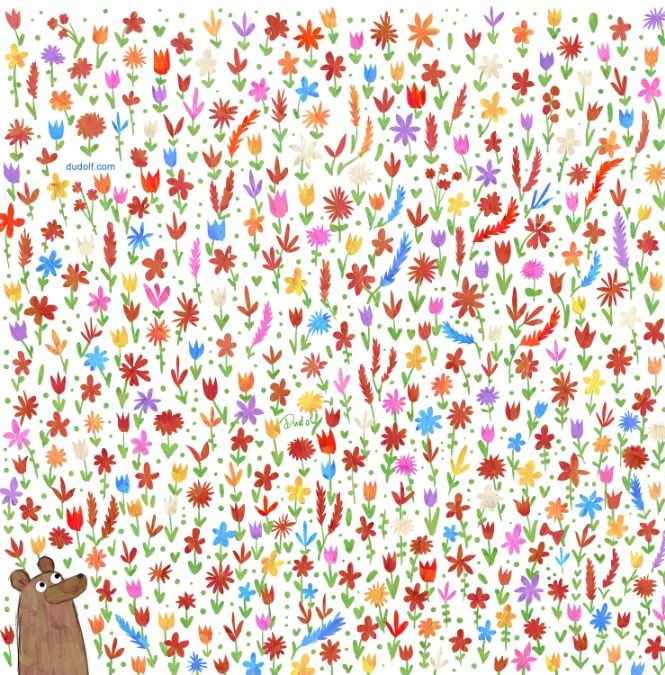 Αρκούδα, παζλ