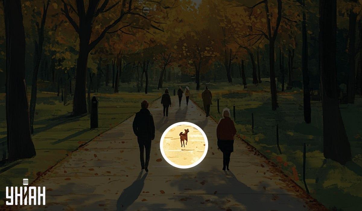 Απάντηση / Moje