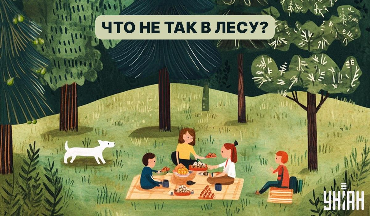 Βρείτε ένα ζωύφιο στο δάσος σε 5 δευτερόλεπτα: ένα γρήγορο τεστ για να ελέγξετε το IQ