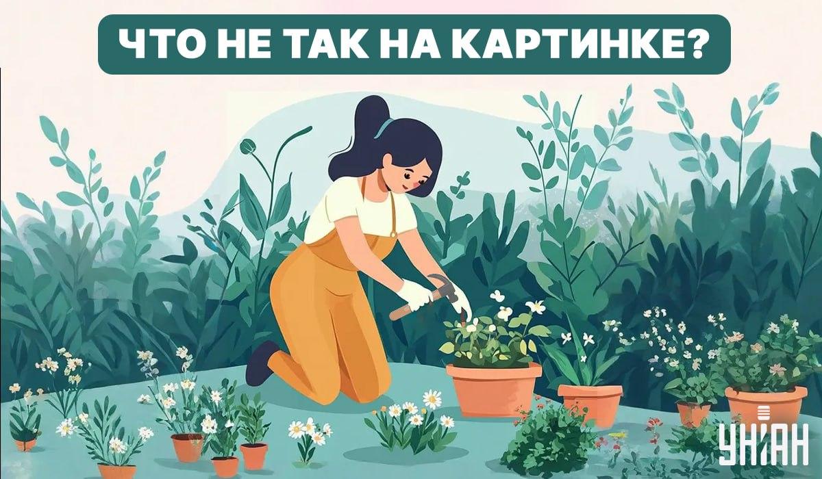 Προσπαθήστε να βρείτε ένα λάθος / Κολάζ - Moje