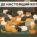 Βρείτε μια πραγματική γάτα σε 5 δευτερόλεπτα: ένα πολύ απλό