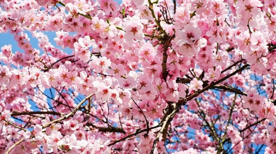 Οπτική ψευδαίσθηση