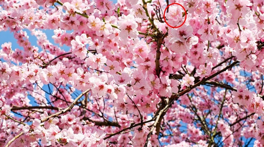 Οπτική ψευδαίσθηση