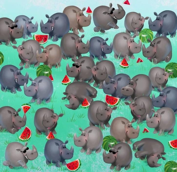 Illusion / Bright Side