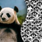 Μια ψευδαίσθηση για τους πιο προσεκτικούς: μόνο λίγοι θα μπορέσουν