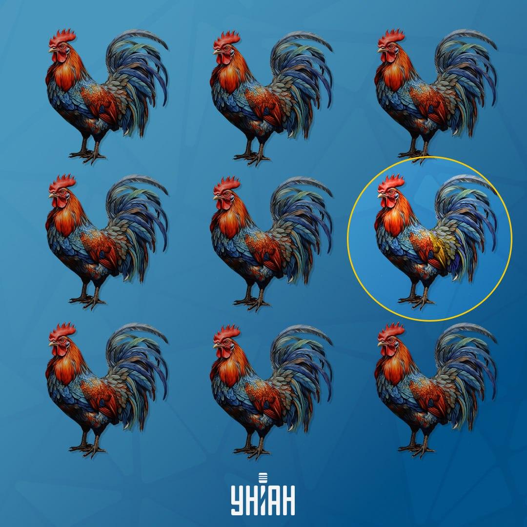 Ο κόκορας, ο οποίος διαφέρει από τους άλλους, βρισκόταν στα αριστερά / Κολάζ Moje