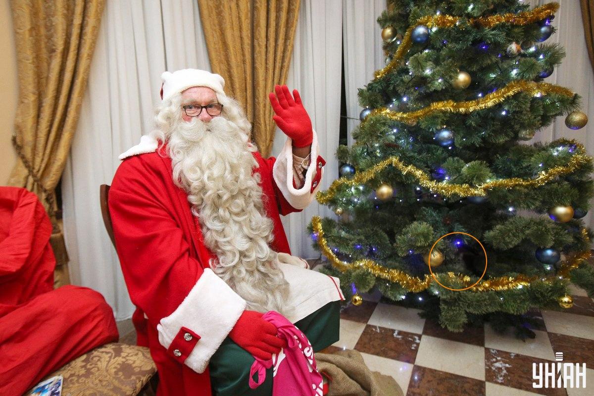 Η γάτα κρυβόταν ανάμεσα στα κλαδιά ενός χριστουγεννιάτικου δέντρου / κολάζ με φωτογραφία Moje