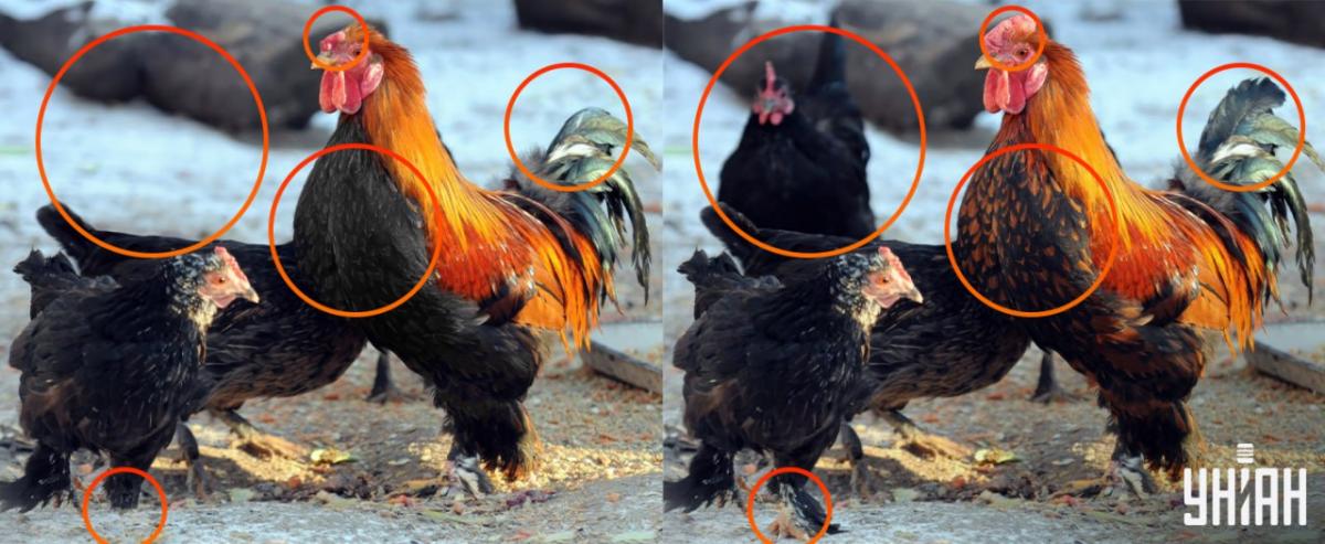 Ήταν απαραίτητο να δοθεί προσοχή στις μικρές λεπτομέρειες / κολάζ Moje