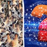 Όλοι βλέπουν καμηλοπαρδάλεις, αλλά εσείς πρέπει να βρείτε μια αδάμαστη