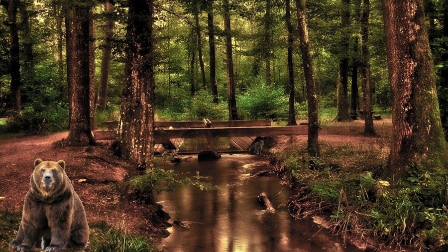 Οπτική ψευδαίσθηση