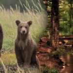 Ένας γρίφος για τους πιο προσεκτικούς: πρέπει να βρείτε ένα