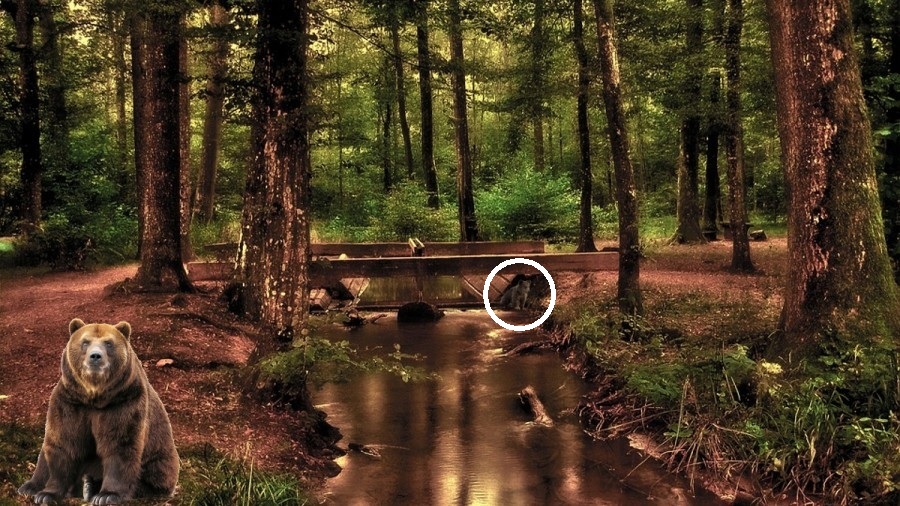 Οπτική ψευδαίσθηση