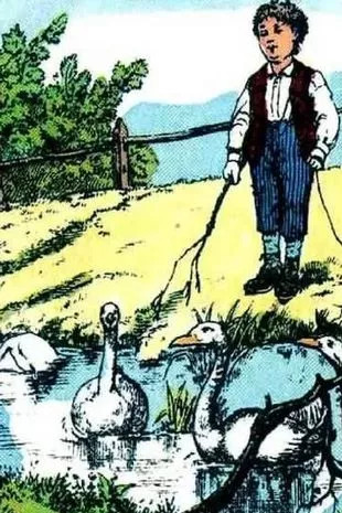 Βλέπετε μια πέμπτη χήνα στην εικόνα; 