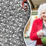 Ένας γρίφος που πρέπει να λυθεί σε 9 δευτερόλεπτα: πού είναι κρυμμένη η γιαγιά ανάμεσα στους λύκους. Ένας γρίφος που πρέπει να λυθεί σε 9 δευτερόλεπτα: πού