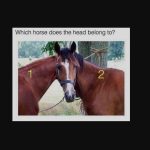 Ένας νέος γρίφος έχει κυκλοφορήσει στο διαδίκτυο: μόνο άτομα με