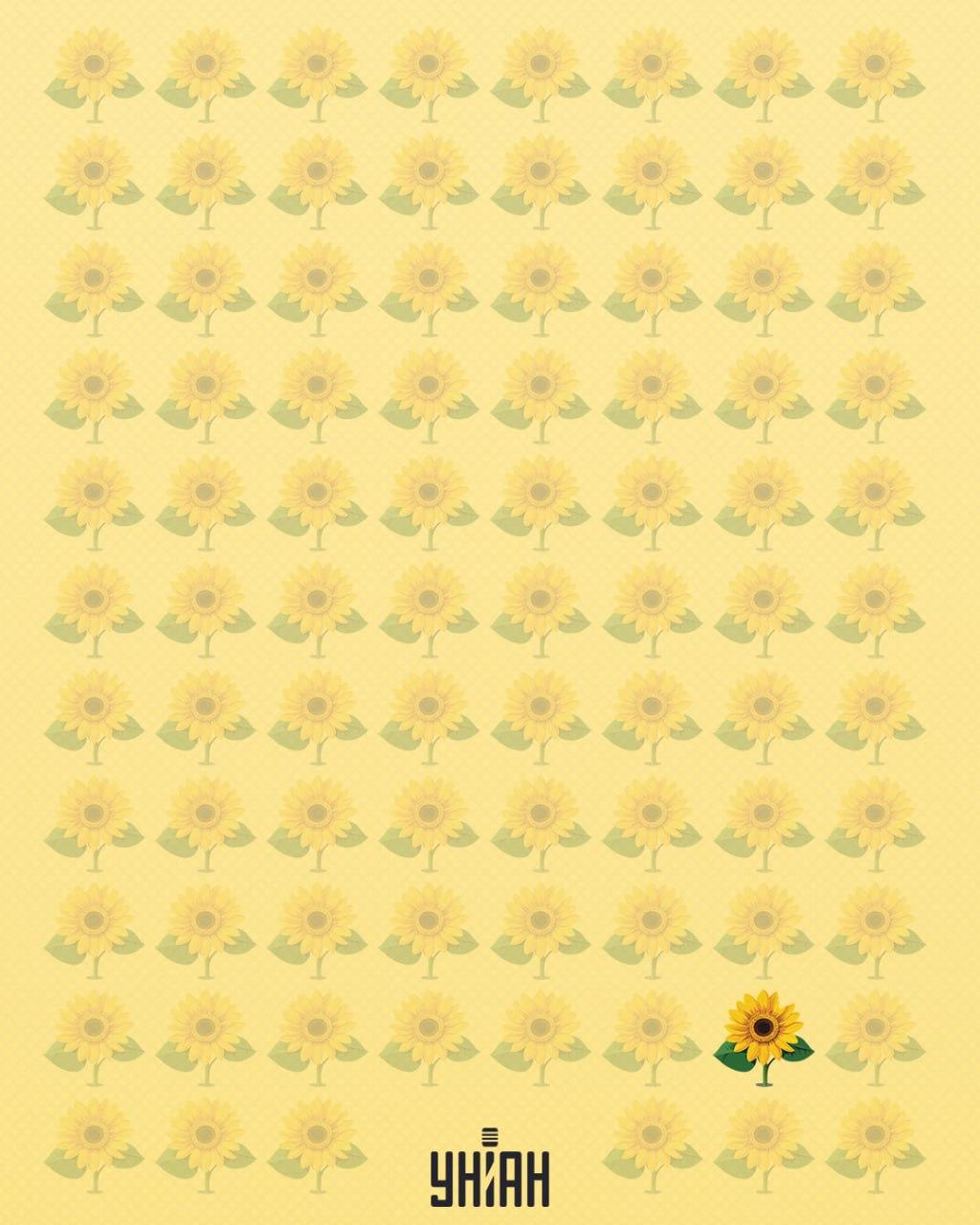 Ένα ηλιοτρόπιο που του έλειπε ένα πέταλο ονομάστηκε παράξενο / Κολάζ Moje