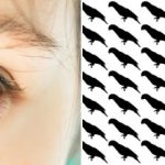 Μόνο το 5% των ανθρώπων θα βρουν τον παπαγάλο σε