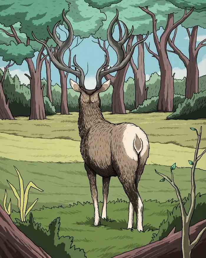 Ένα εκρηκτικό παζλ με μια ανατροπή: μόνο λίγοι μπορούν να βρουν το πούμα στο δάσος