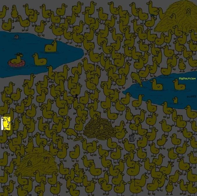 Μόνο οι πιο έξυπνοι θα βρουν την κότα ανάμεσα στα παπάκια σε 8 δευτερόλεπτα: ένας νέος γρίφος / εικόνα από τον Gergely Dudas