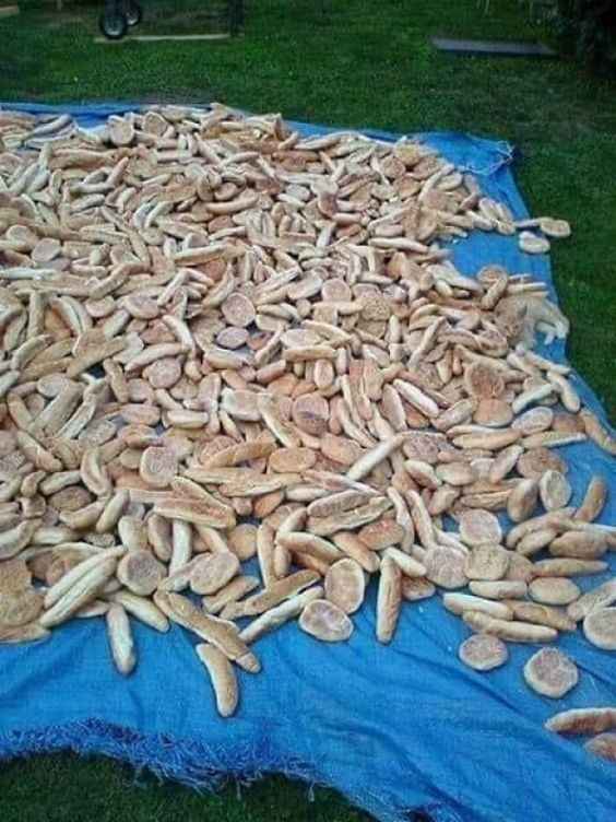 Οπτική ψευδαίσθηση για άτομα με αετίσια όραση: μόνο οι ιδιοφυΐες βρίσκουν τη γάτα σε 5 δευτερόλεπτα