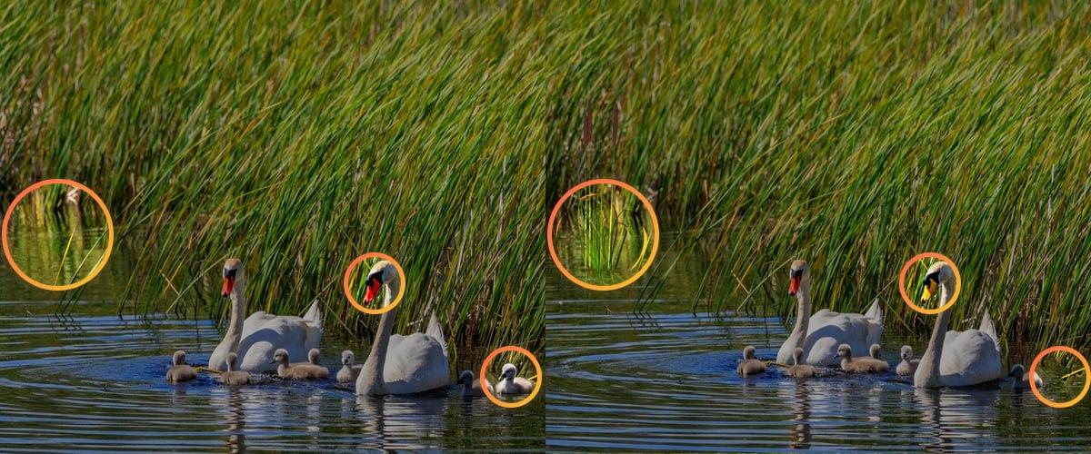 Για να αντιμετωπίσετε το παζλ ήταν απαραίτητο να δώσετε προσοχή στις μικρές λεπτομέρειες / κολάζ Moje