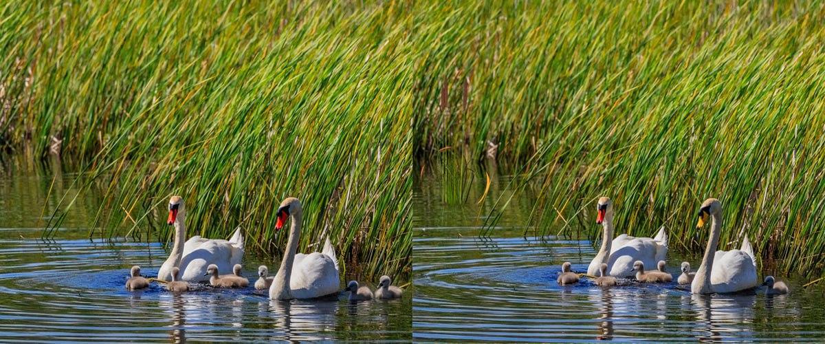 Βρείτε πολύ γρήγορα τις διαφορές μεταξύ των εικόνων / κολάζ Moje