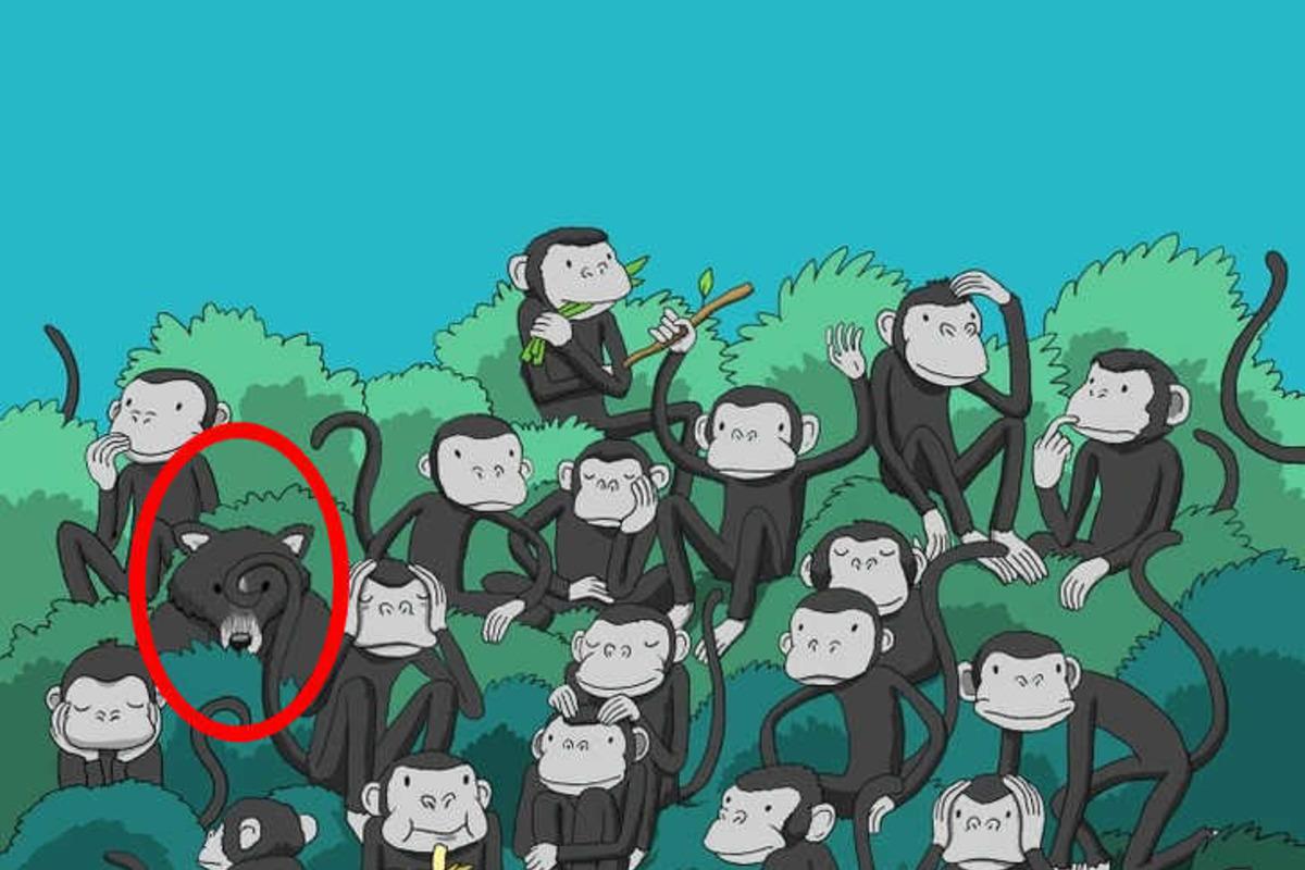 Προσπαθήστε να λύσετε το παζλ σε δευτερόλεπτα / Bright Side drawing