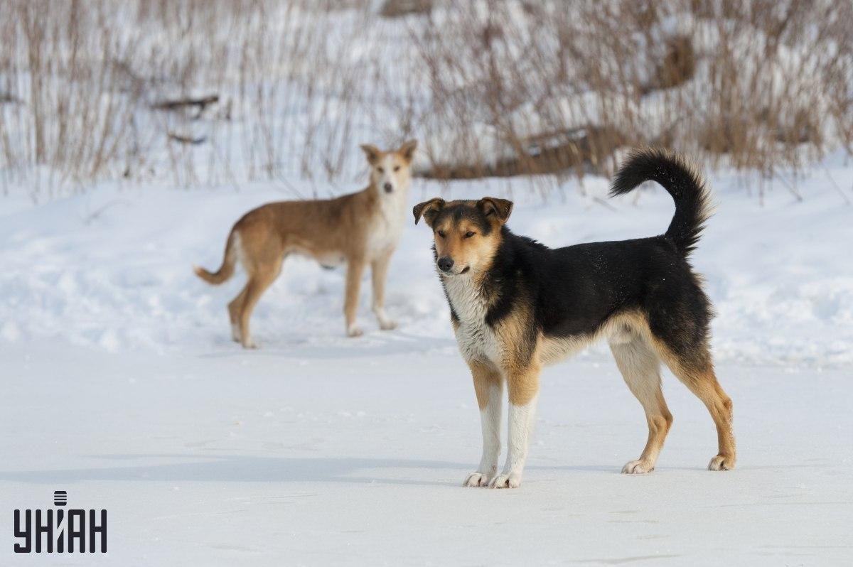 Προσπαθήστε να καταλάβετε σε 8 δευτερόλεπτα τι δεν πάει καλά στο φωτογραφικό παζλ / κολάζ από τη φωτογραφία Moje