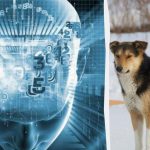 Μόνο το 2% των πολύ έξυπνων ανθρώπων θα σας δείξει τι δεν πάει καλά με μια φωτογραφία σε 8 δευτερόλεπτα: ένα παζλ Μόνο το 2% των πολύ έξυπνων ανθρώπων θα σας δείξει