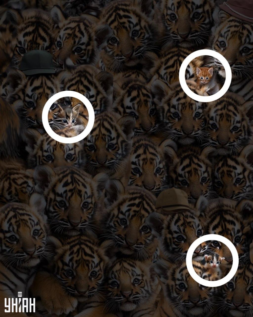 Απάντηση / Moje