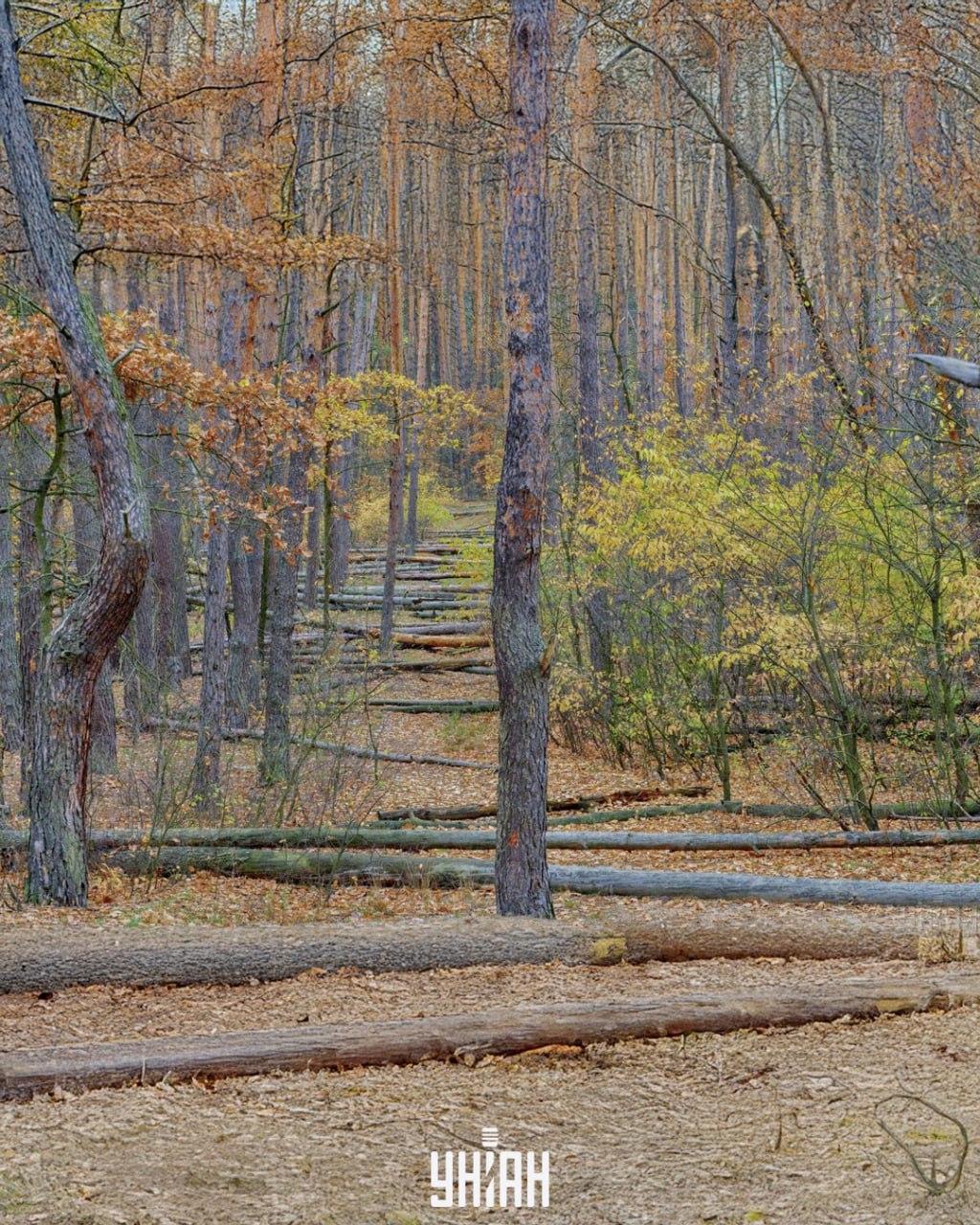 Moje photo, Falin Vladimir