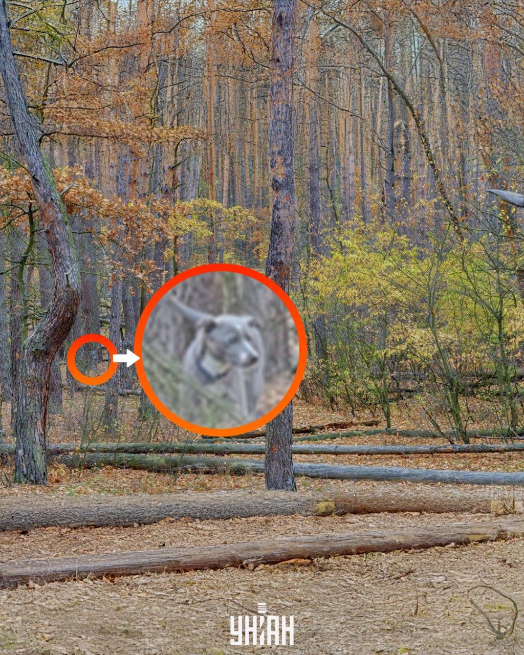 Moje photo, Falin Volodymyr