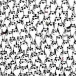 Rebus για όσους έχουν λαμπρή όραση: πρέπει να βρείτε τρία