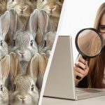 Όλοι βλέπουν τα κουνέλια και μόνο λίγοι θα δουν τη γάτα σε 8 δευτερόλεπτα: ένα πολύ δύσκολο αίνιγμα. Όλοι βλέπουν τα κουνέλια και μόνο λίγοι θα δουν τη