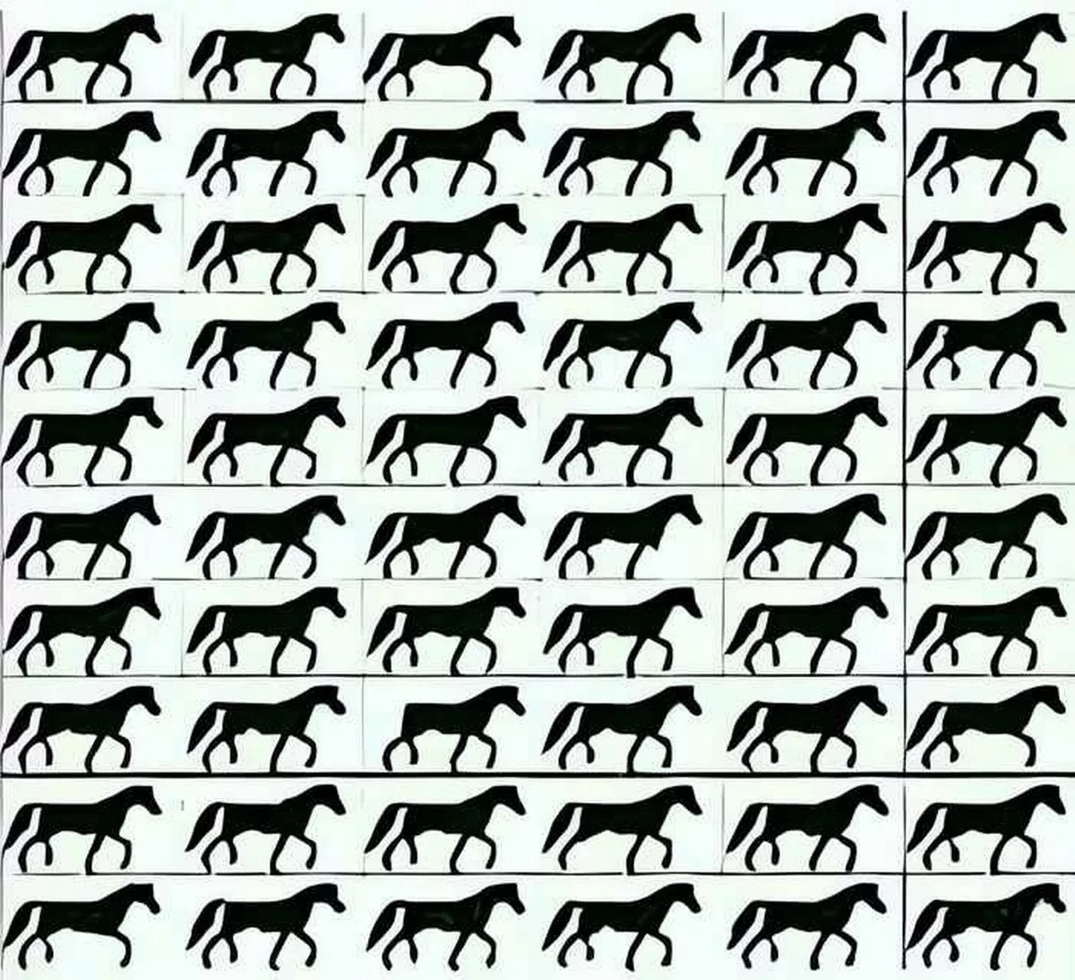 Μπορείτε να λύσετε το παζλ σε 5 δευτερόλεπτα; 