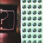 Βρείτε ένα παράξενο παγώνι ανάμεσα σε εκατοντάδες άλλα μέσα σε 10 δευτερόλεπτα: ένα σούπερ προκλητικό παιχνίδι παζλ Βρείτε ένα παράξενο παγώνι ανάμεσα σε εκατοντάδες άλλα μέσα σε