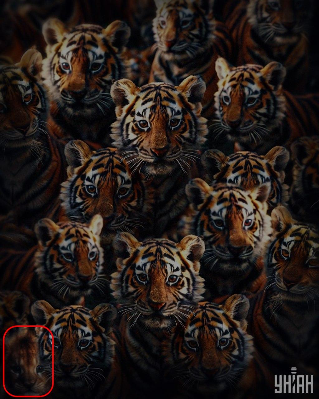 Λιονταράκι 