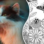 Δεν θα μπορέσουν όλοι να βρουν μια γάτα σε 5 δευτερόλεπτα: ο καλύτερος γρίφος για να δοκιμάσετε την προσοχή σας Δεν θα μπορέσουν όλοι να βρουν μια γάτα σε 5