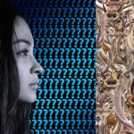 Παζλ κόλπο: πρέπει να βρείτε ένα άλογο ανάμεσα στους ταράνδους